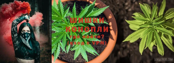 шишки Наволоки
