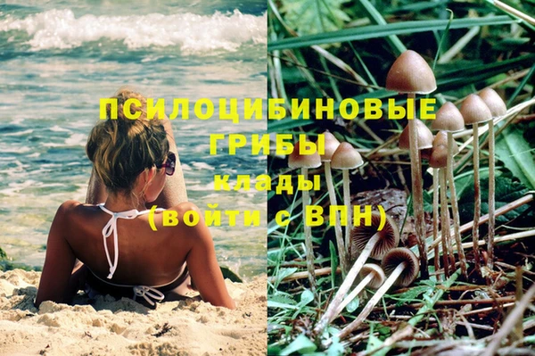 мет Нея