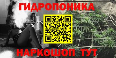 гидра Кимры