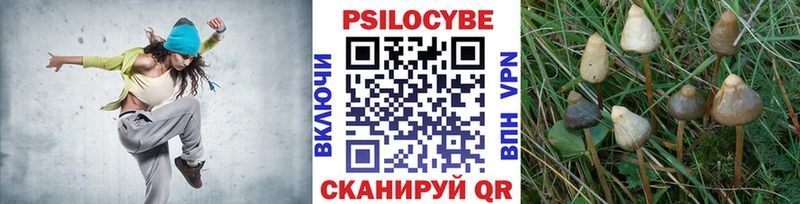 цены наркотик Петрозаводск Галлюциногенные грибы Psilocybe