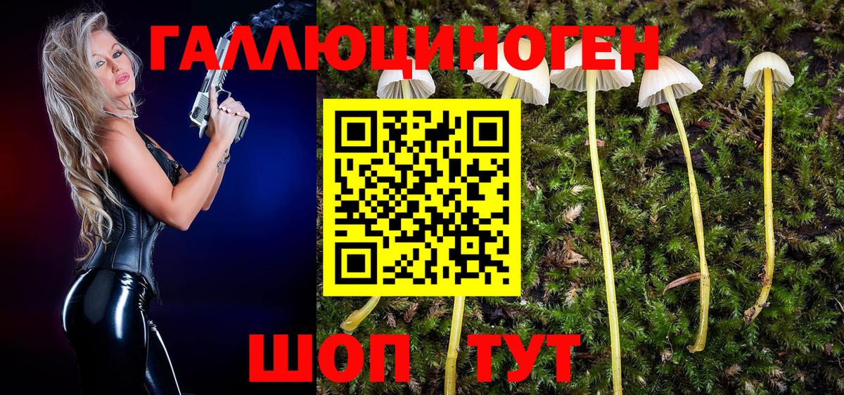 Петрозаводск  Псилоцибиновые грибы мицелий  Вход с VPN 