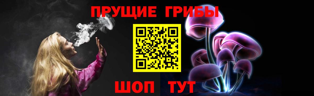 Галлюциногенные грибы GOLDEN TEACHER Петрозаводск